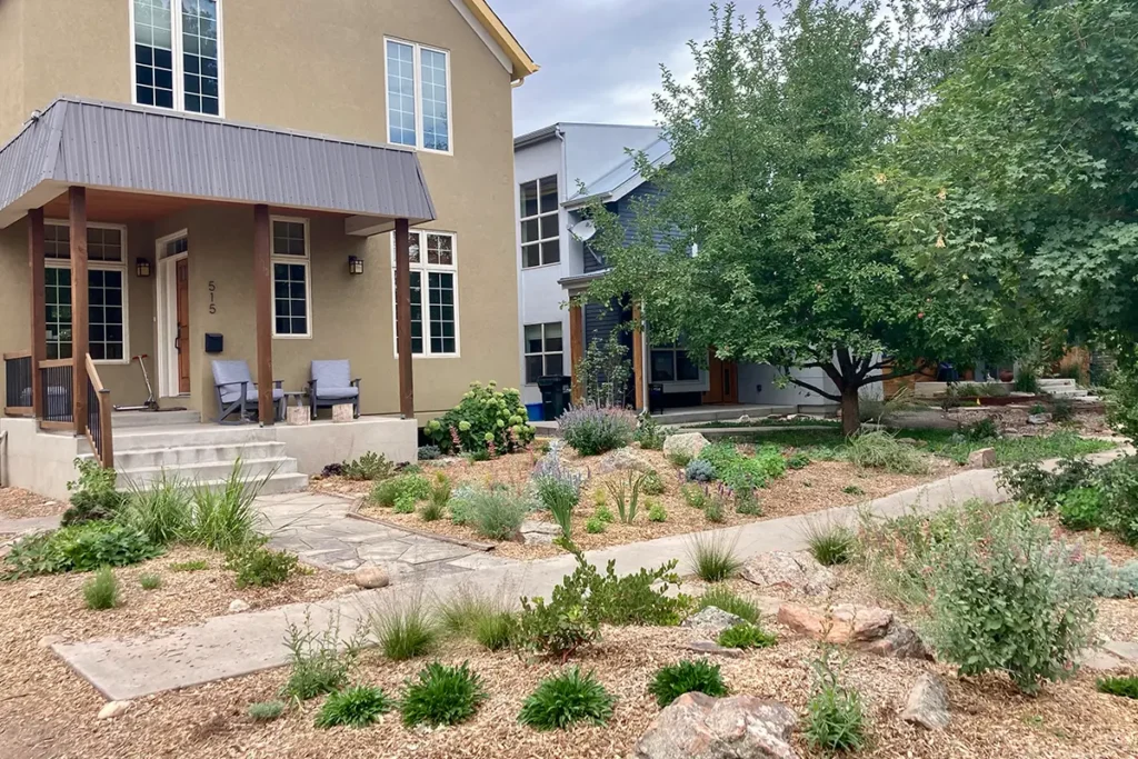 Walkway with native plants installed by Blue Spruce Horticulture