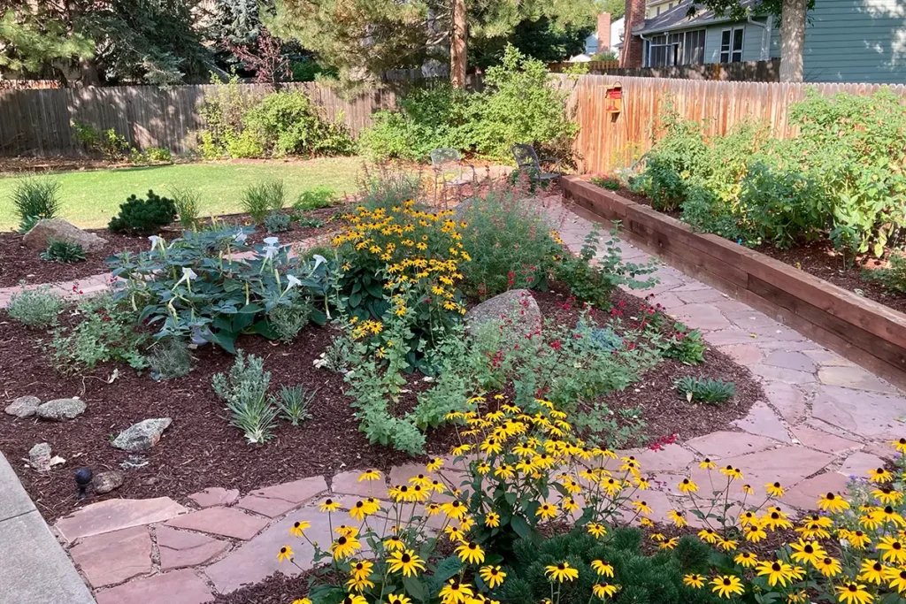 Backyard of home with an installed native garden by Blue Spruce Horticulture in Fort Collins, Colorado.