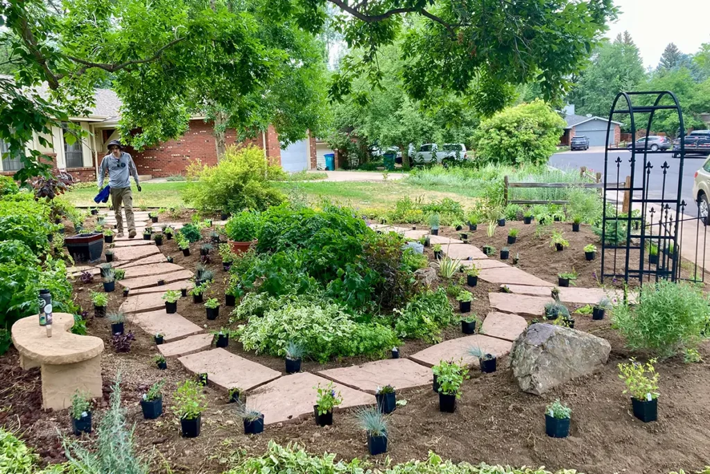 Native garden installation from Blue Spruce Horticulture