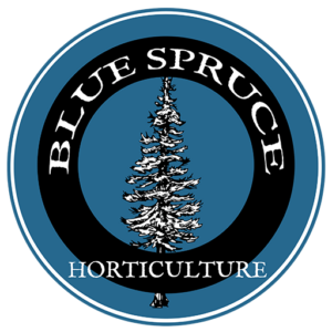 Blue Spruce Horticulture Site Favicon