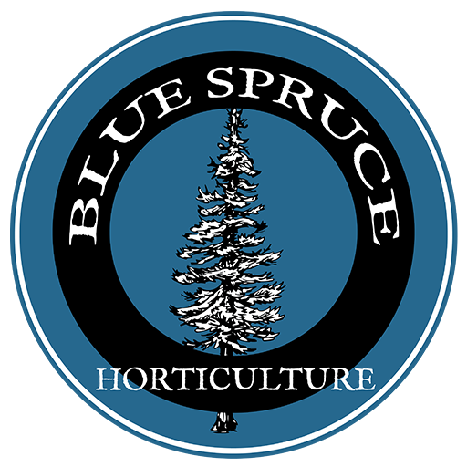 Blue Spruce Horticulture Site Favicon