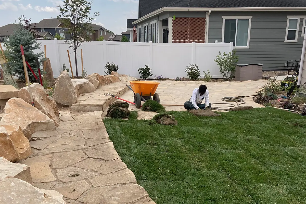 Blue Spruce Horticulture installing landscape design in Northern Colorado