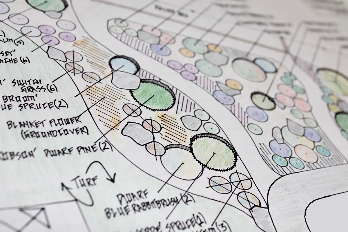 Landscaping blueprint from Blue Spruce Horticulture