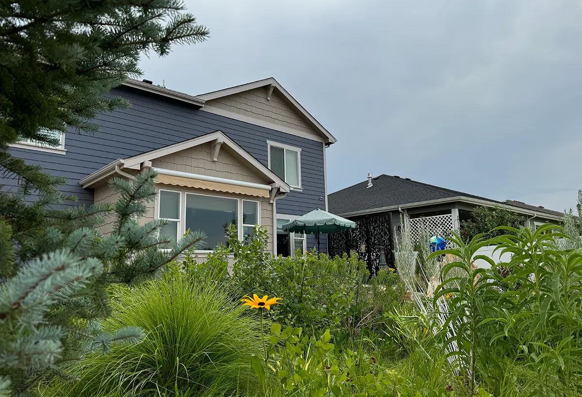 The Boxwood Drive Project in Windsor, Colorado includes Blue Spruce Horticulture’s xeriscape, modern architecture, and low maintenance garden.