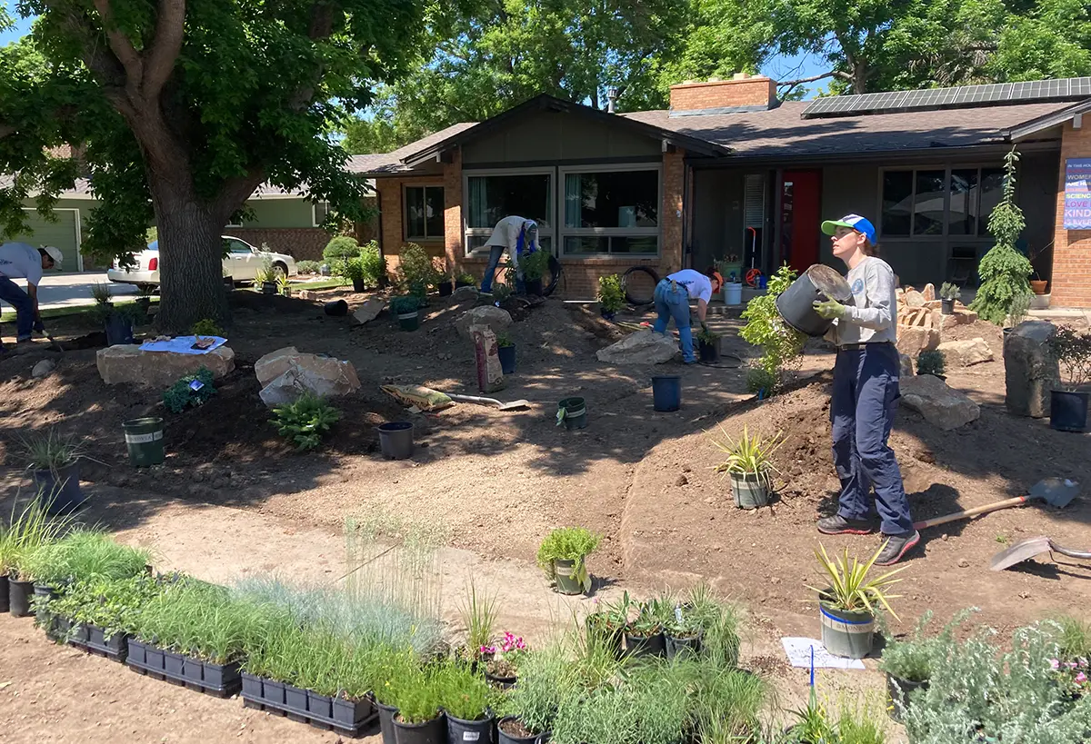 The Blue Spruce Horticulture team is busy installing plants and landscaping.