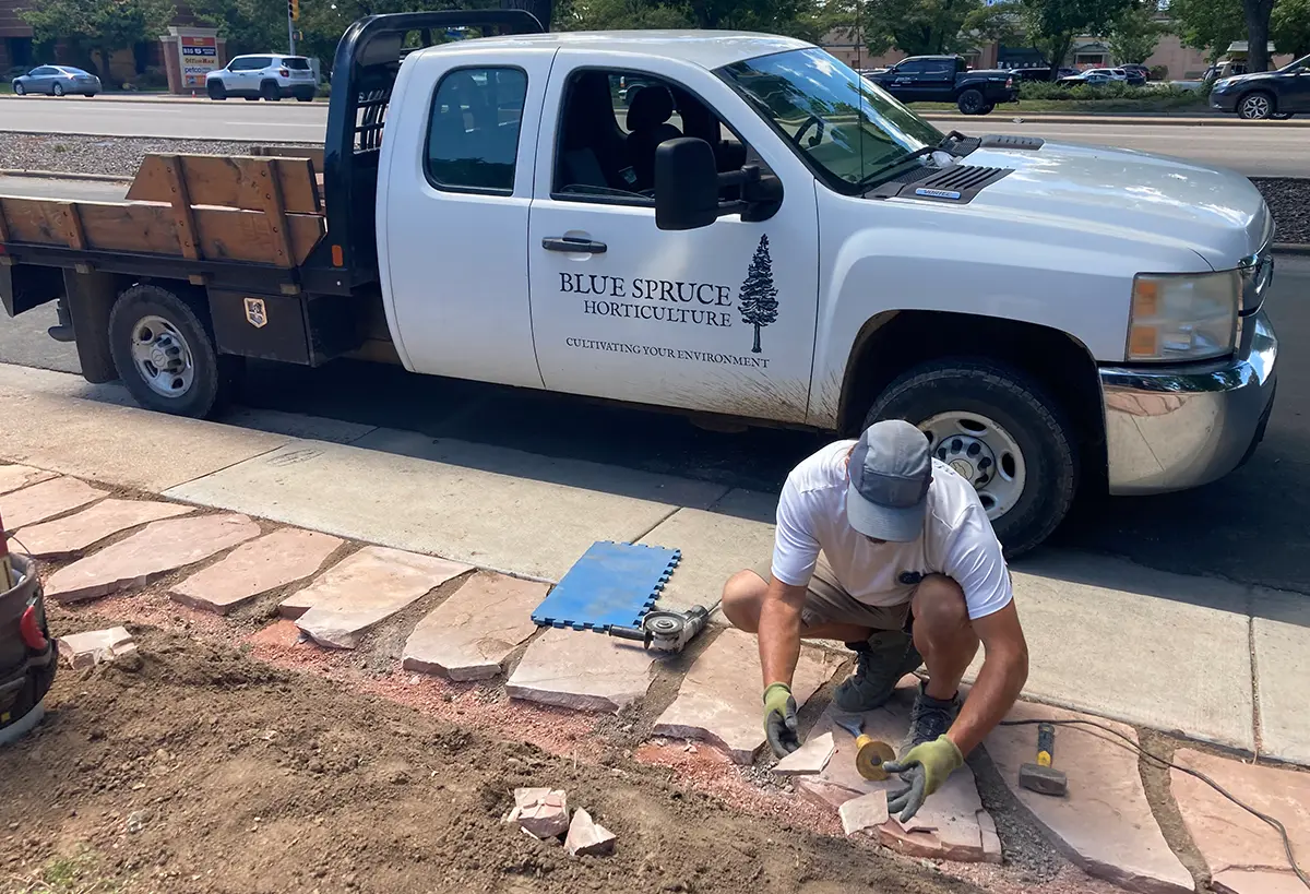 Blue Spruce Horticulture team members expertly installing plants and landscaping.