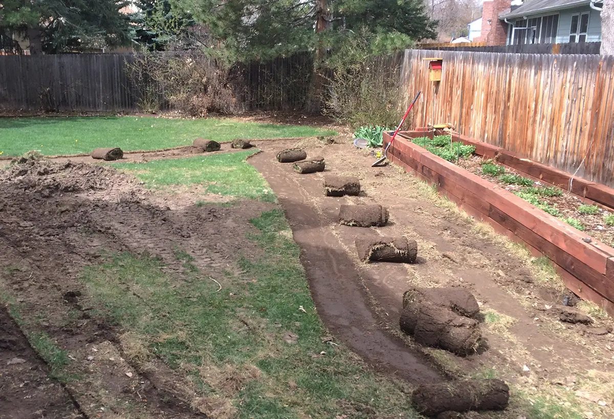 Blue Spruce Horticulture staff transforming spaces with sod removals and landscaping.