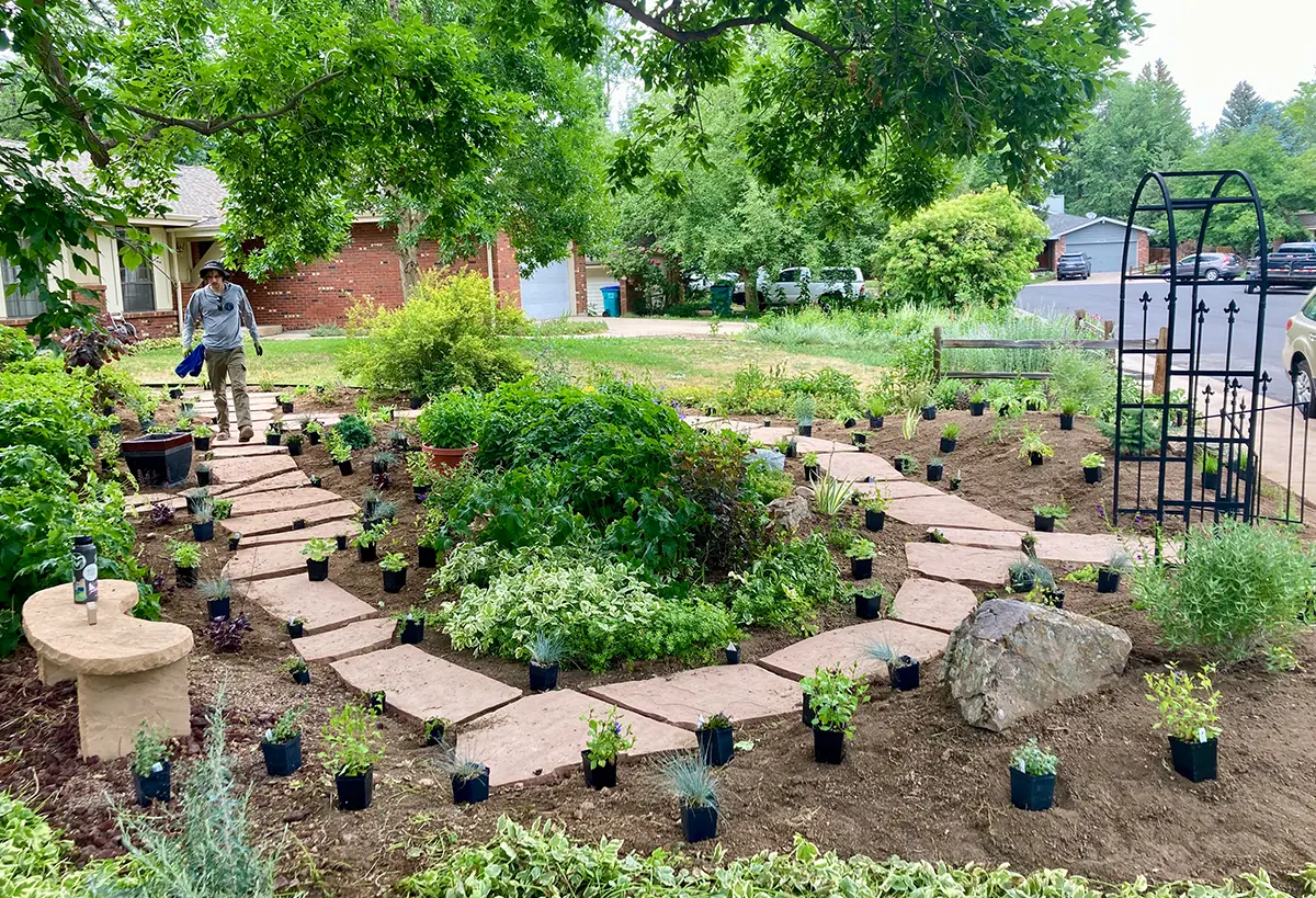 Blue Spruce Horticulture crew installing plants, landscaping, and irrigation for a beautiful result in front yard of home.