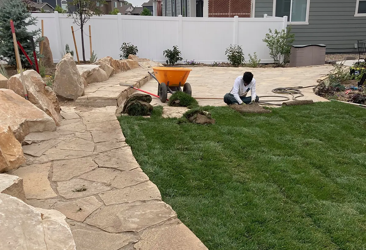 Blue Spruce Horticulture professionals at work installing plants, landscaping, and irrigation.