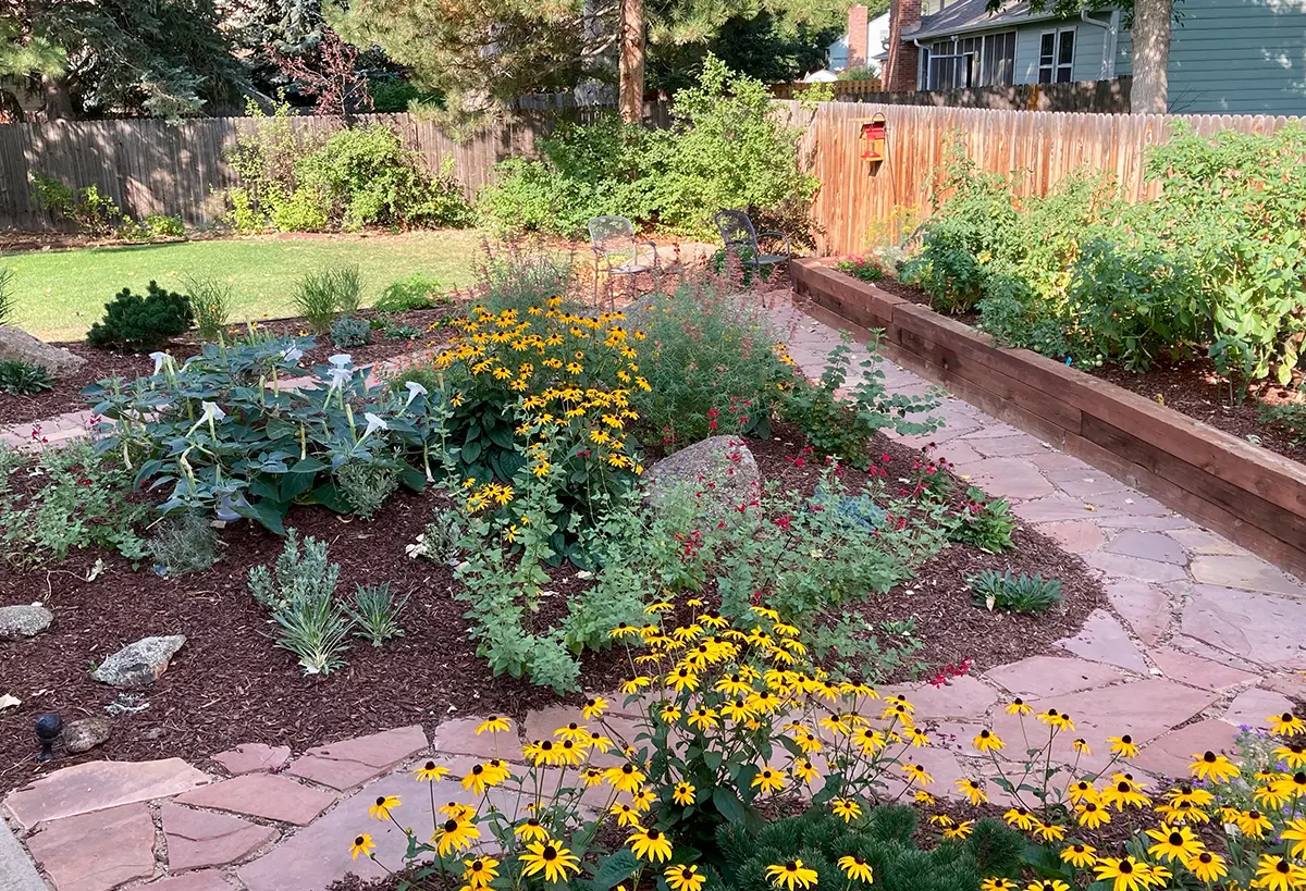 Blue Spruce Horticulture installed plants, designing landscapes, and setting up irrigation in backyard.