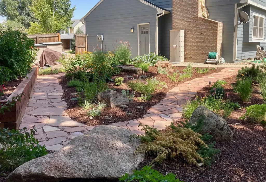 Professional irrigation, plant, and landscape installations by the Blue Spruce Horticulture team