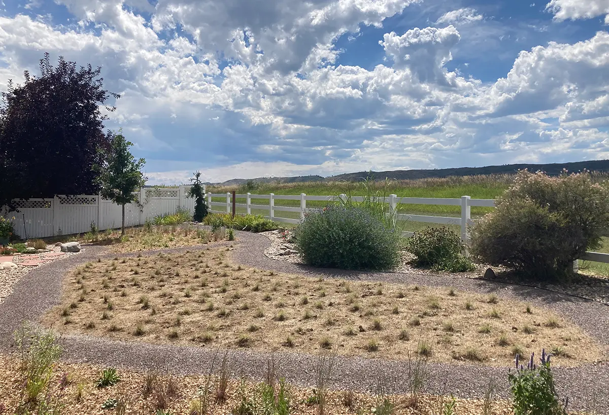 Custom native garden installation in Northern Colorado by Blue Spruce Horticulture.