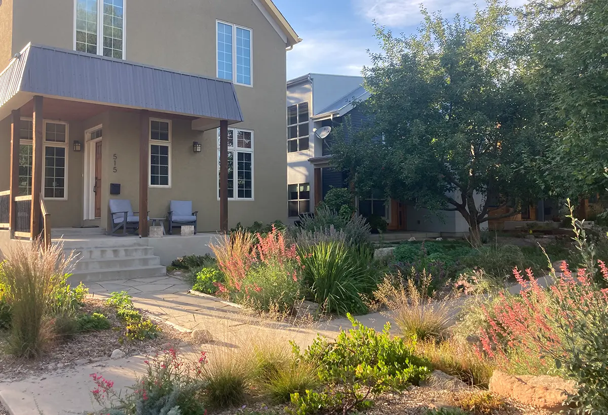 Native garden in autumn designed by Blue Spruce Horticulture in Colorado