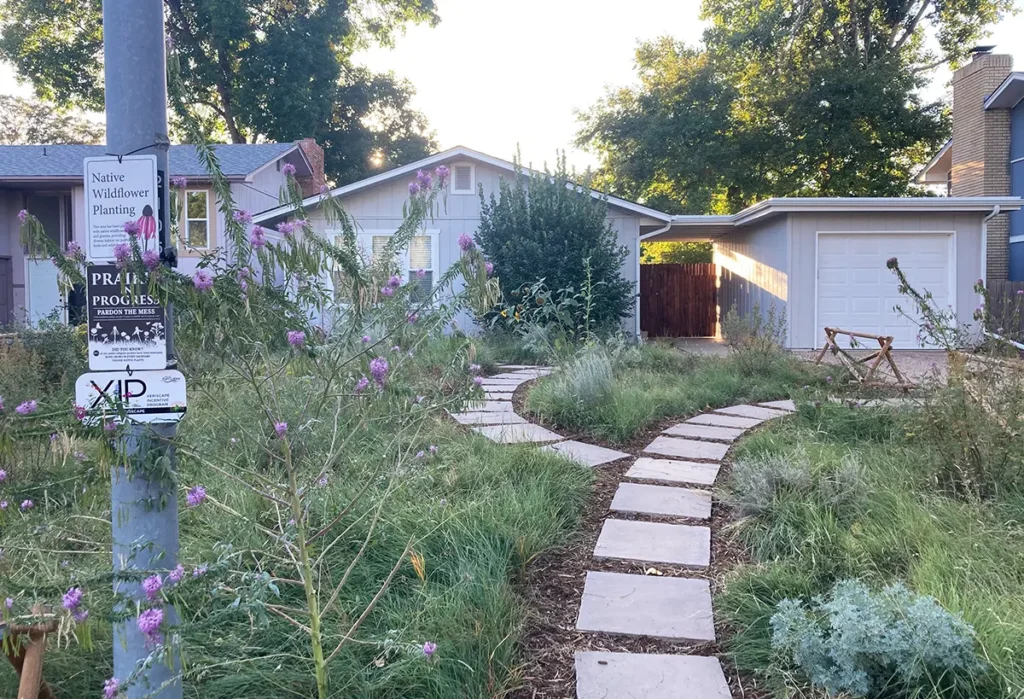 Beautiful landscape design pathway installation in Northern Colorado by Blue Spruce Horticulture.