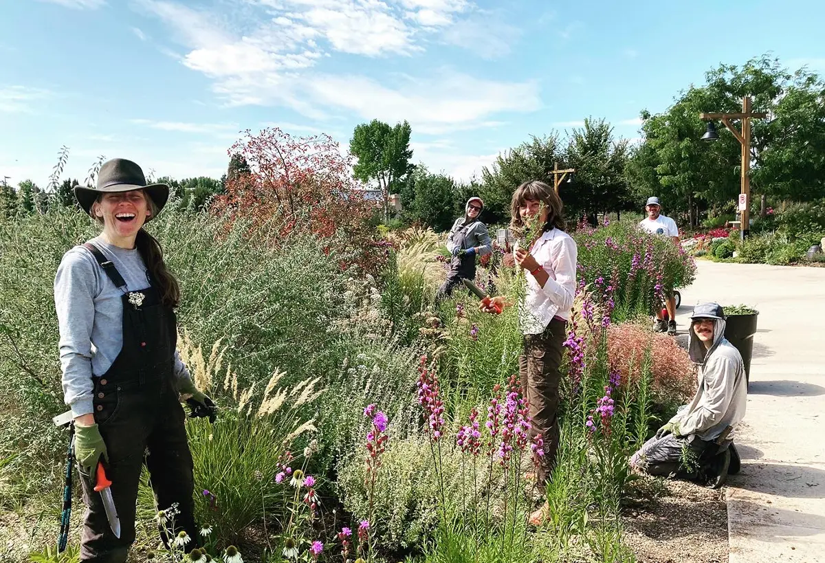 Blue Spruce Horticulture team members doing garden maintenance with a client