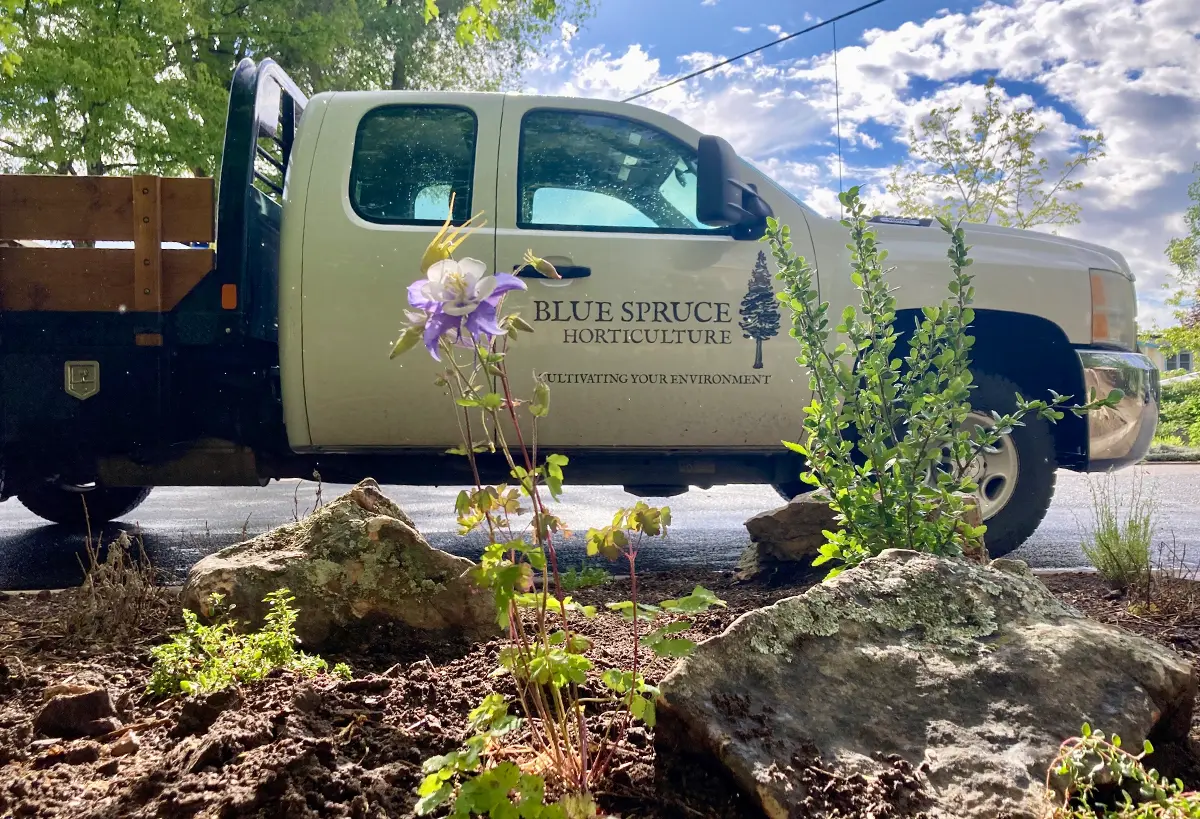 Professional landscape design solutions truck in Northern Colorado by Blue Spruce Horticulture.