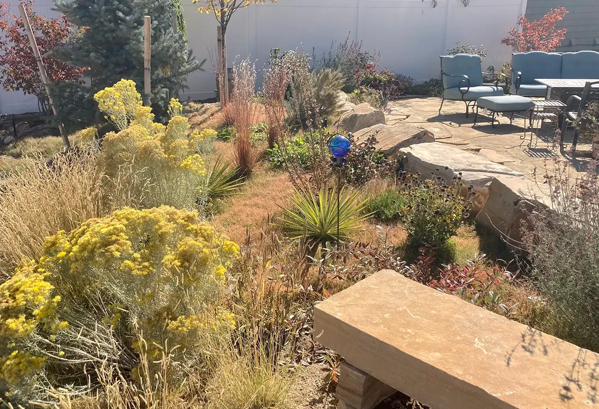 The Blue Spruce Horticulture team installed native plants, landscaping, and state-of-the-art irrigation systems.