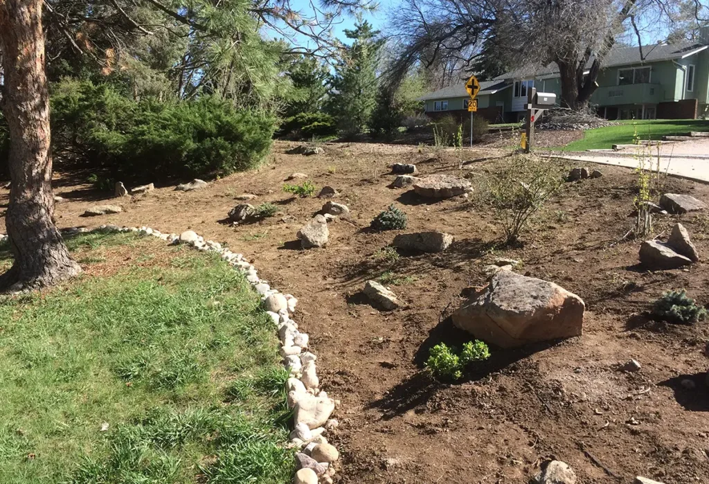 Blue Spruce Horticulture members removed plants, created landscapes, and setting up irrigation.