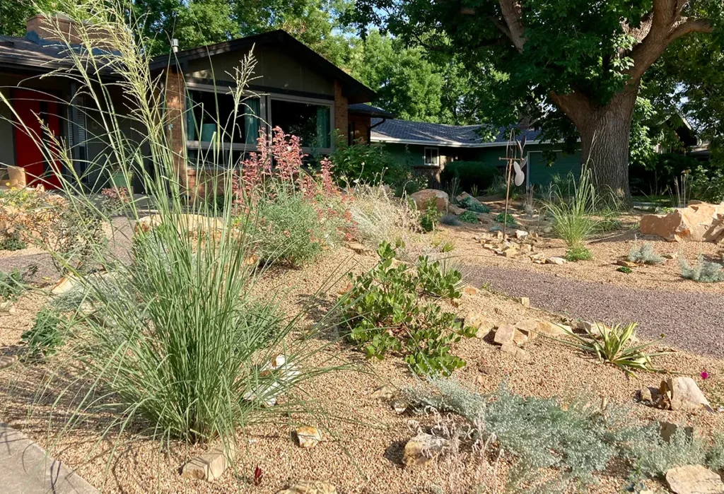 Blue Spruce Horticulture experts transformed gardens with plants, landscaping, and irrigation installations