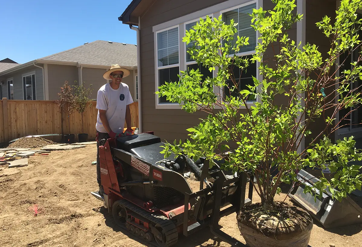 Stuart Shoemaker operating heavy machinery and moving a tree for Blue Spruce Horticulture in Northern Colorado.