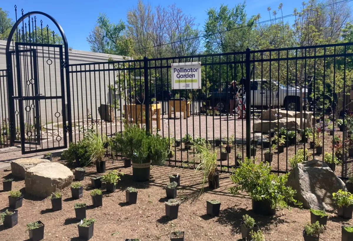 The Nectary's Pathway and Irrigation Installations by Blue Spruce Horticulture.