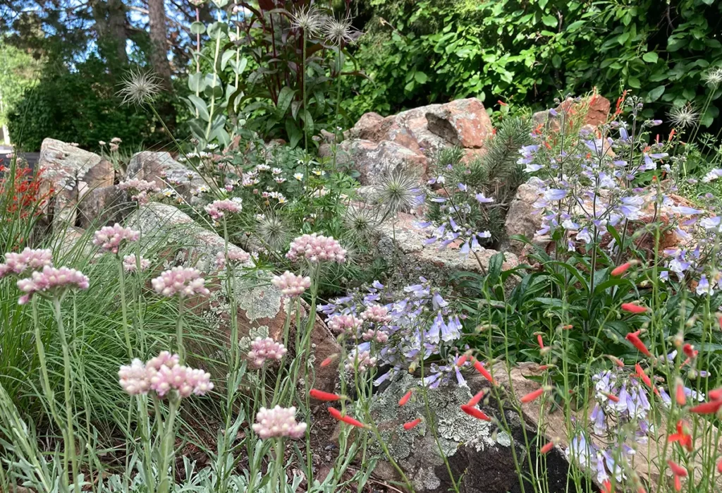 Blue Spruce Horticulture professionals installed plants, created landscapes, and setup irrigation systems in native garden.