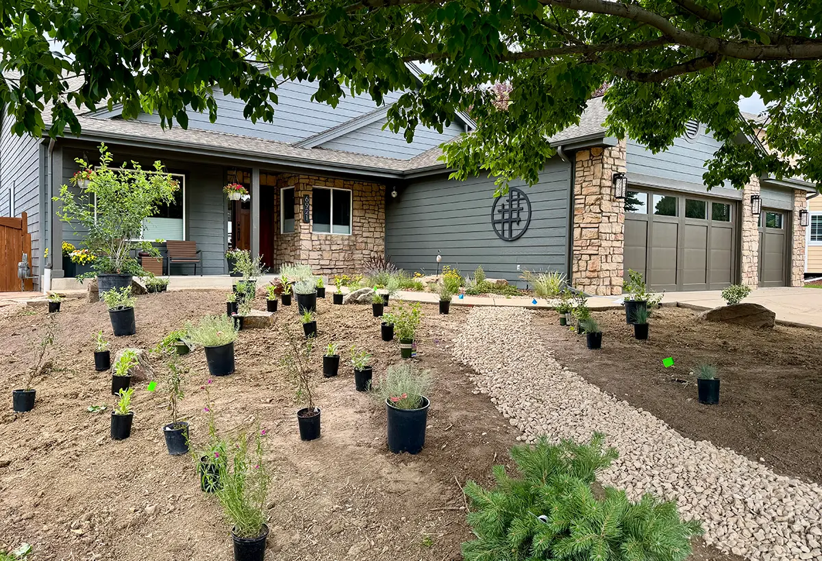 Blue Spruce Horticulture experts installing plants, landscaping, and advanced irrigation solutions.