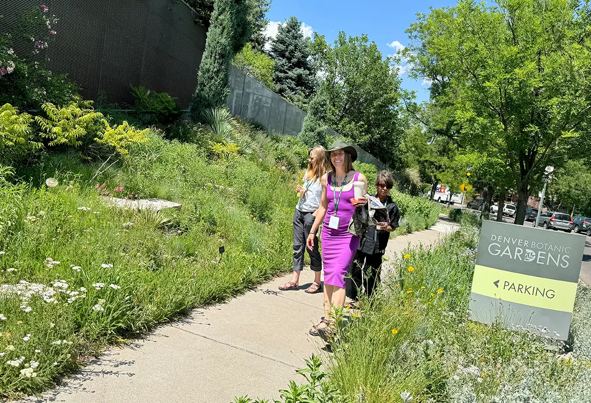 Blue Spruce Horticulture professionals looking at plants in the Denver Zoo.