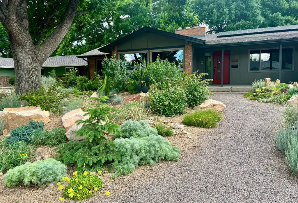 Home with a Native Garden installed in Fort Collins, CO