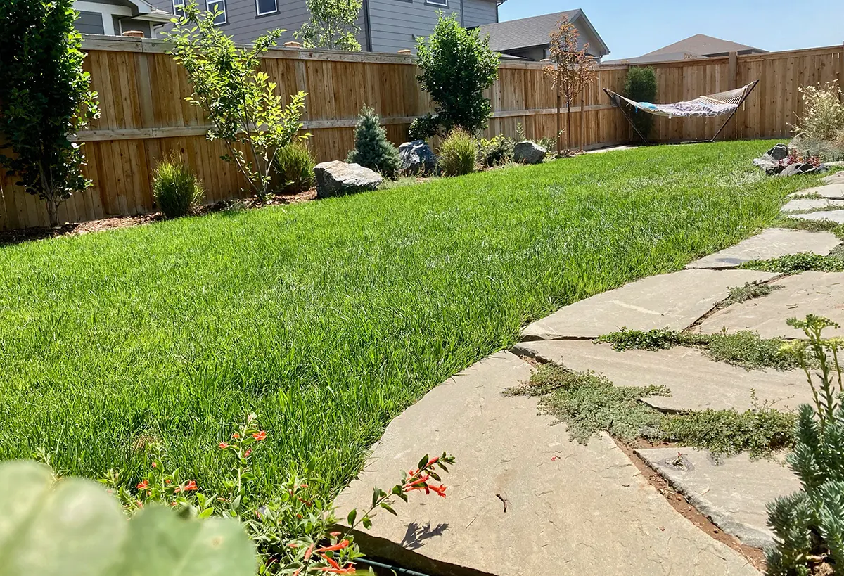 The Western Sky Project in Longmont, Colorado highlights landscape designs and native gardens by Blue Spruce Horticulture.