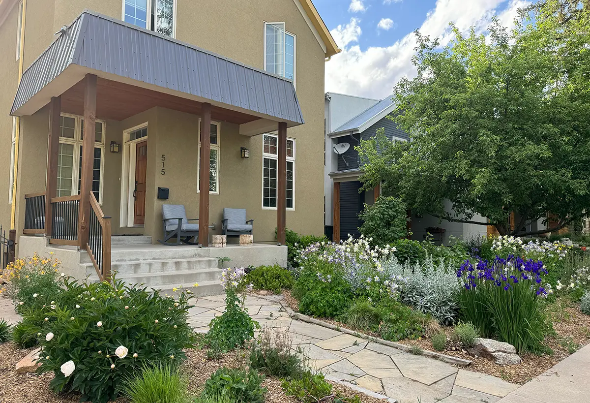 Whitcomb Street native garden project in Fort Collins, Colorado by Blue Spruce Horticulture.