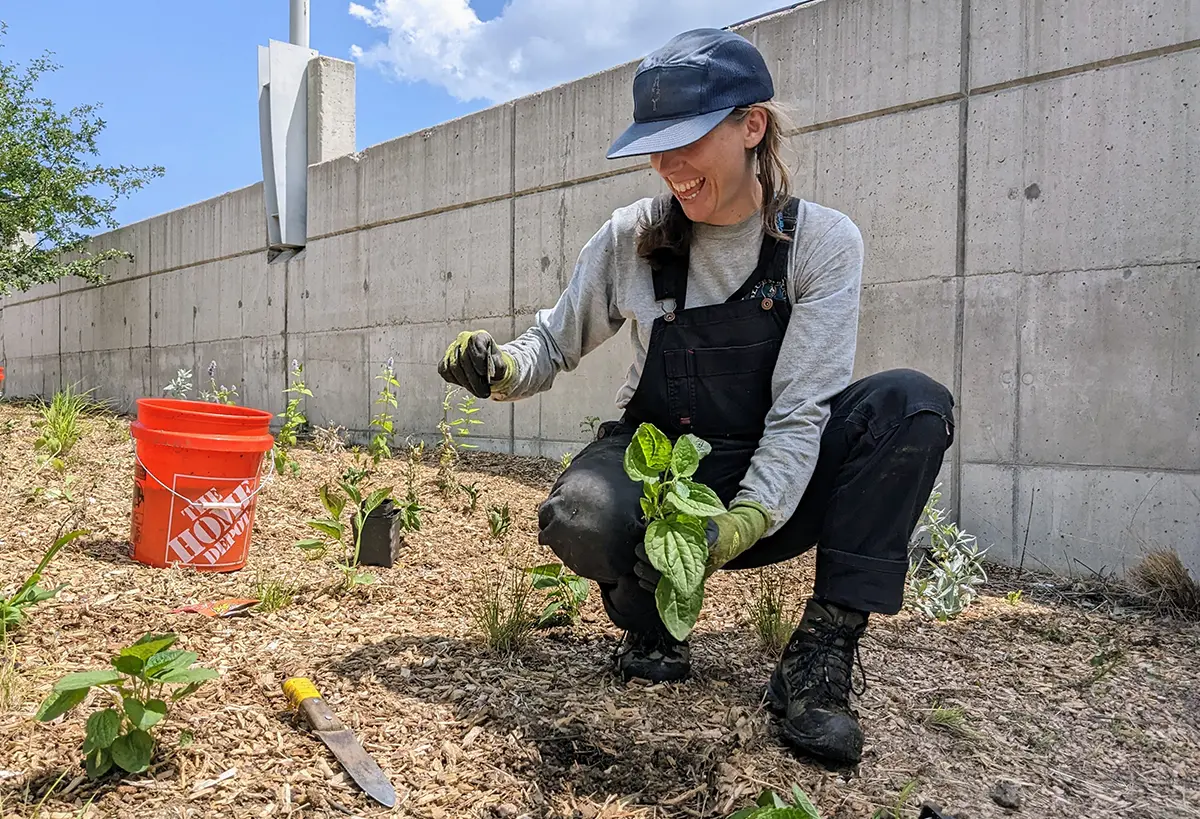 The Denver Zoo showcases a meadow garden, institutional project renovation, and pollinator and ecological gardens, all installed by Blue Spruce Horticulture team.