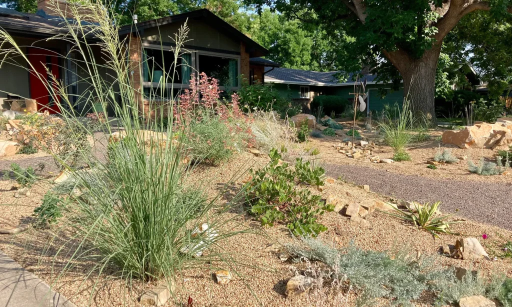 Native gardens crafted by Blue Spruce Horticulture in Northern Colorado