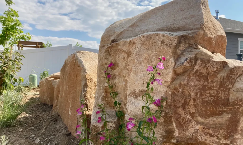 Boulder installation by Blue Spruce Horticulture