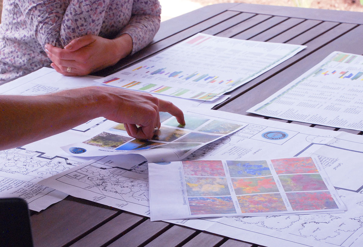 Lanscape architecture blueprints