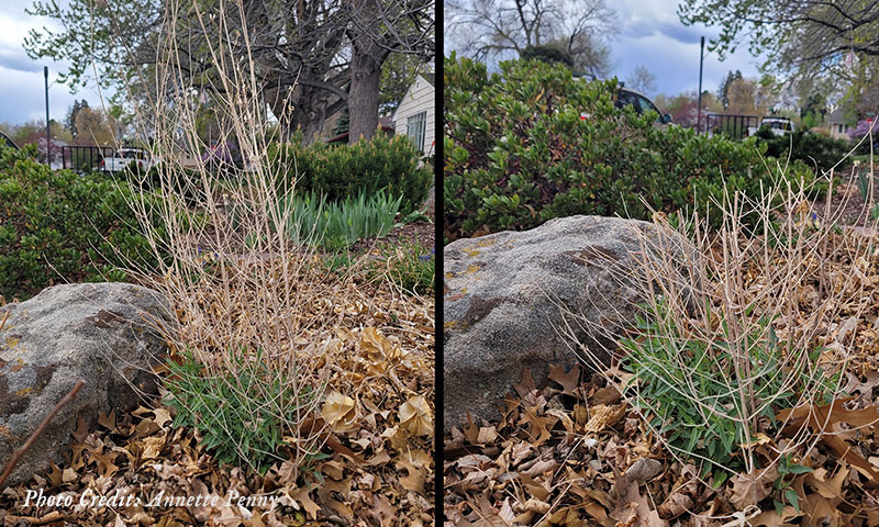 Photo of before and after