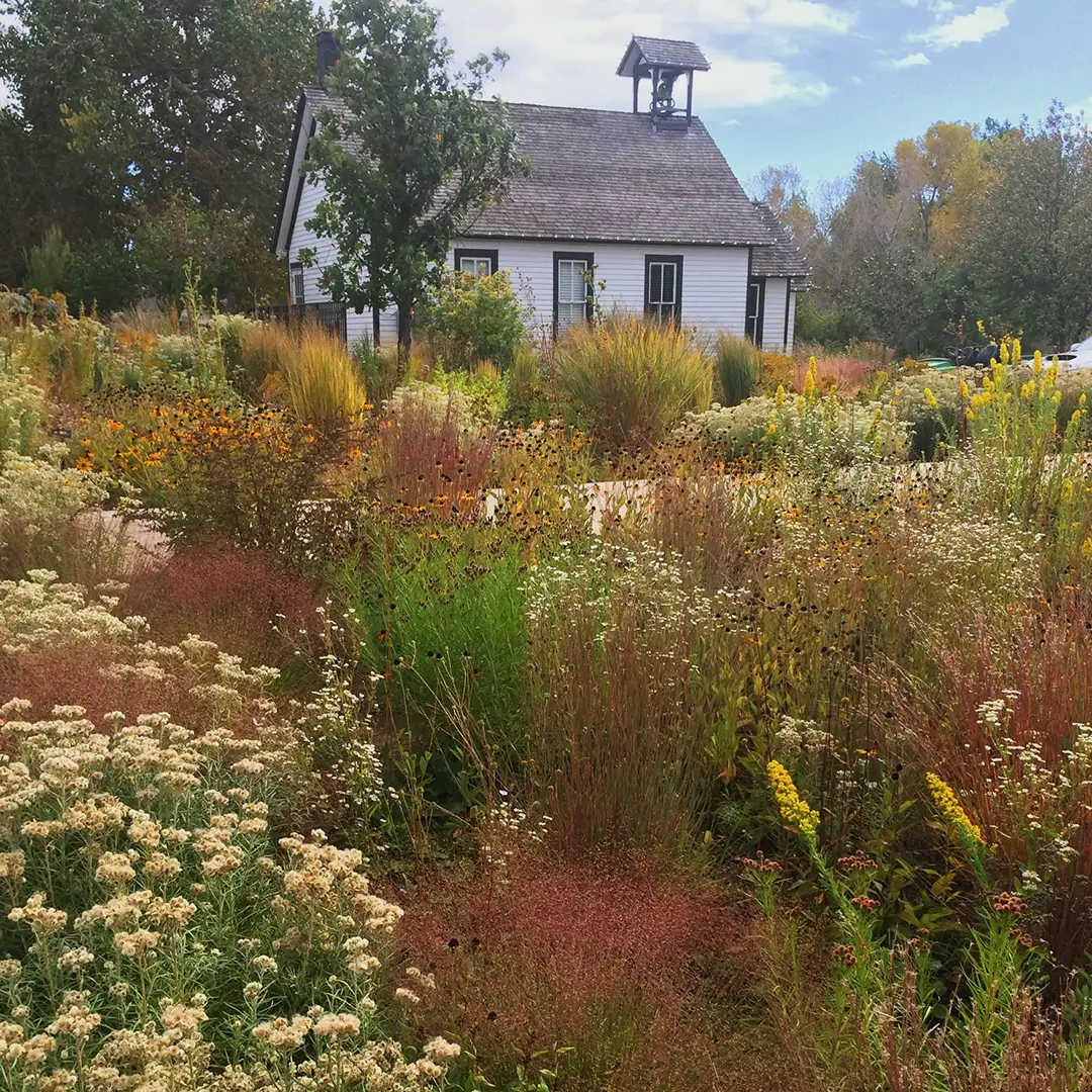 Chatham house with plants