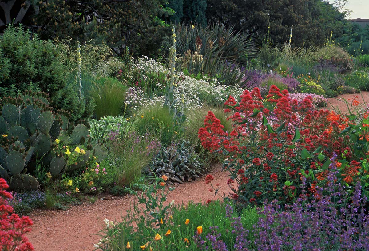 pathway in flowers