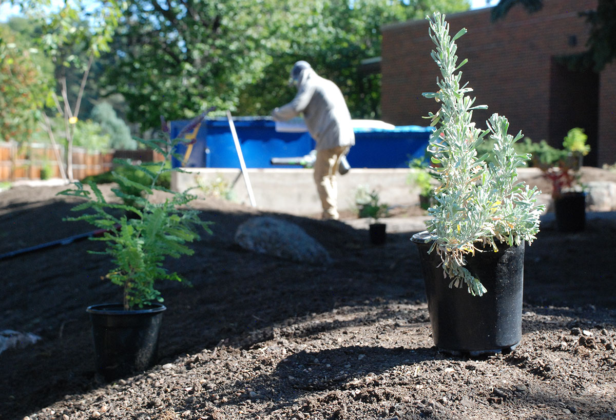 planting new garden at St.Luke's in Fort Collins