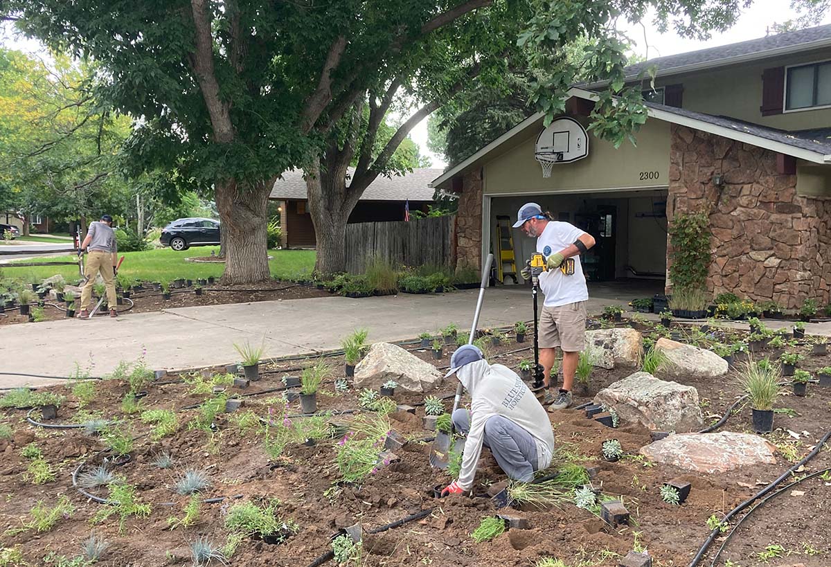 landscape design planting