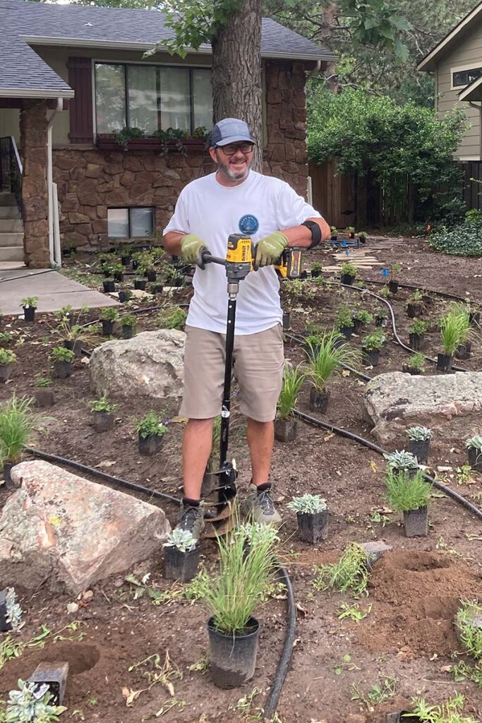 Blue Spruce maintenance