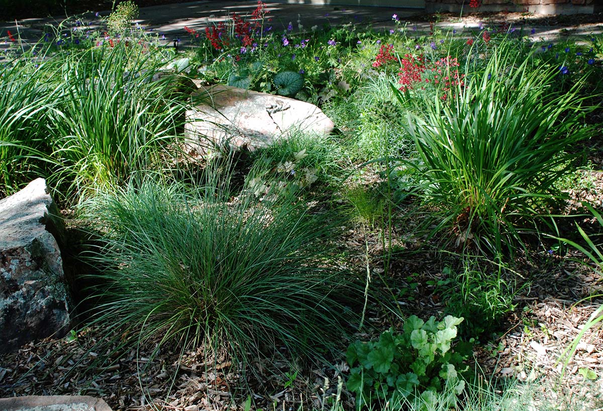 landscape design flowers