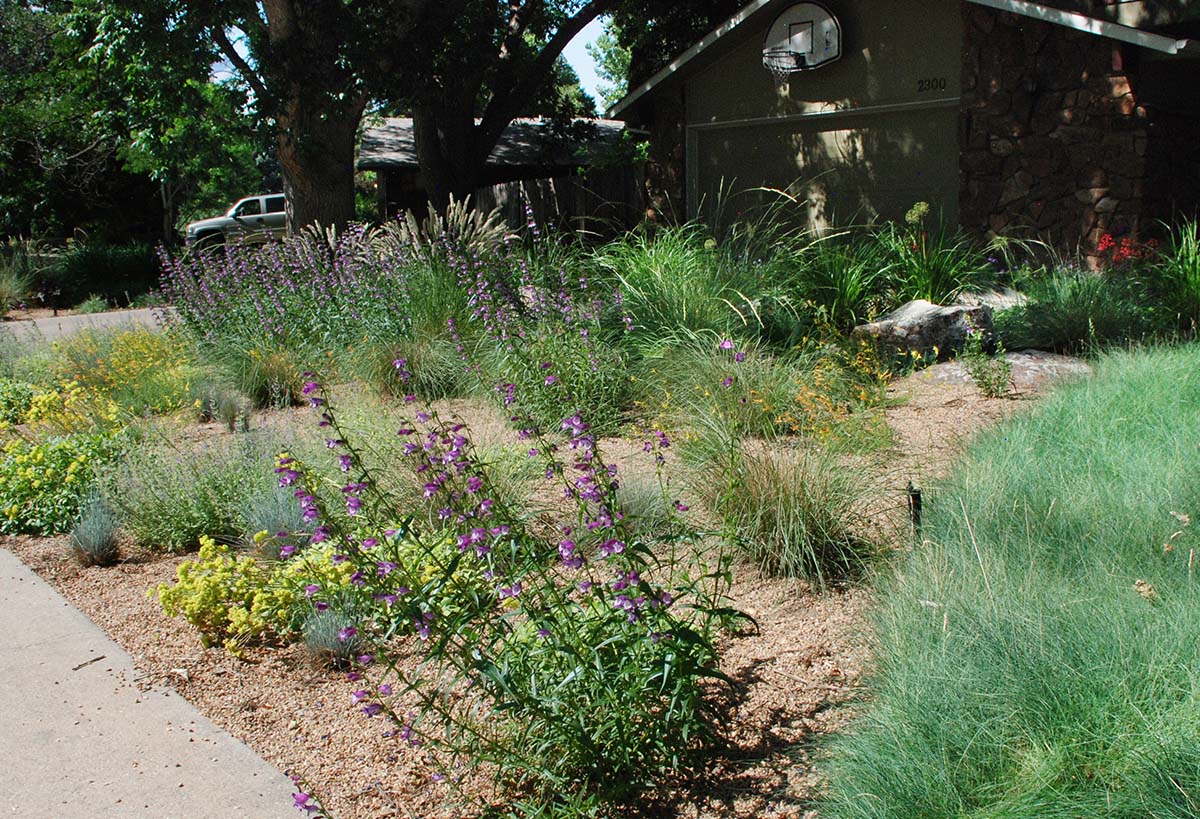 landscape design flowers