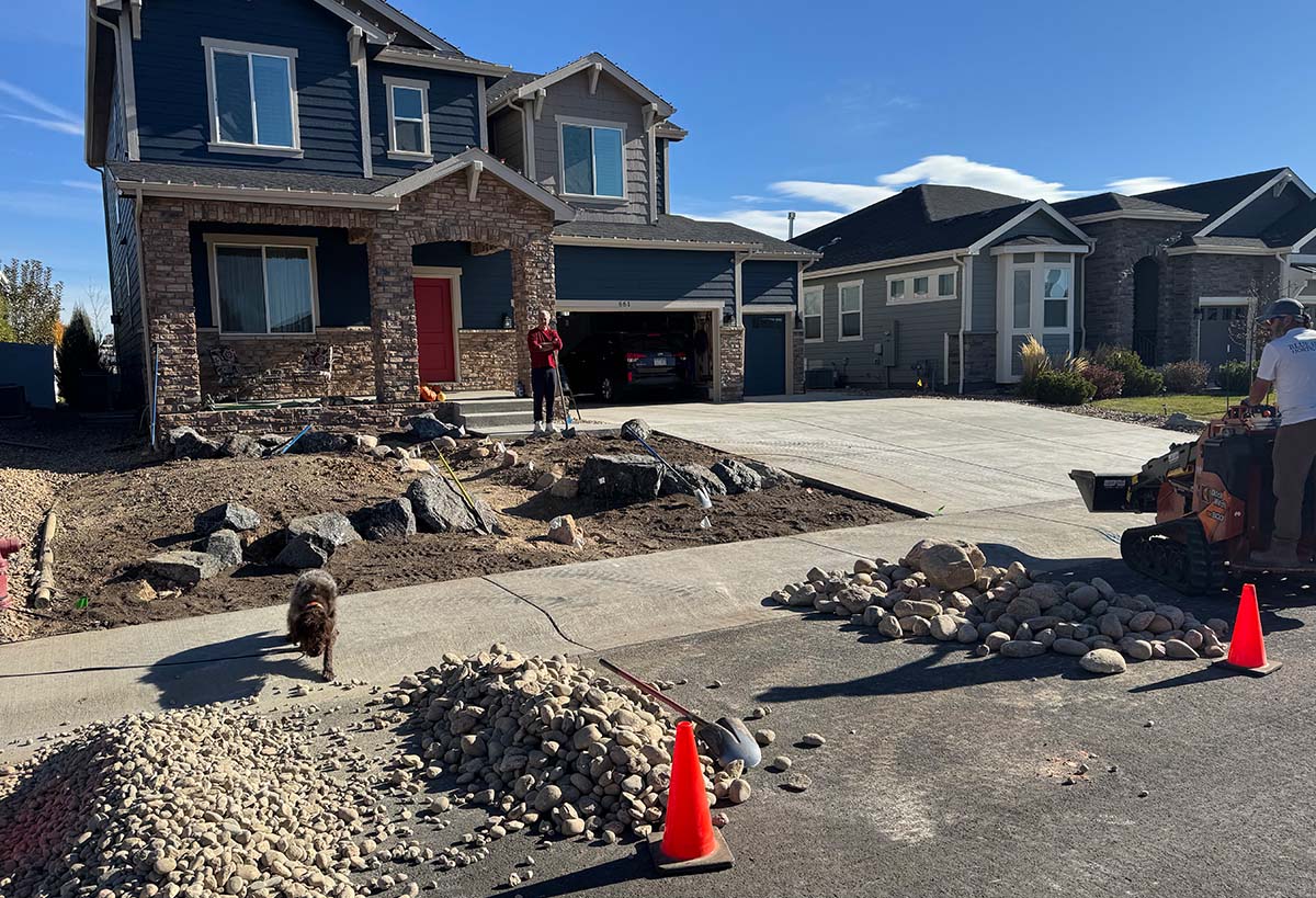 Boxwood Drive Front Yard