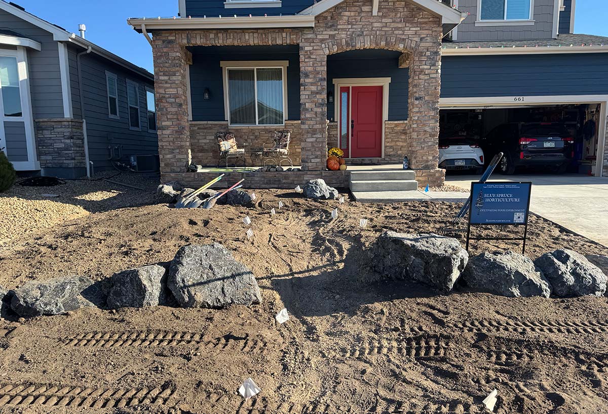 Boxwood Drive Front Yard