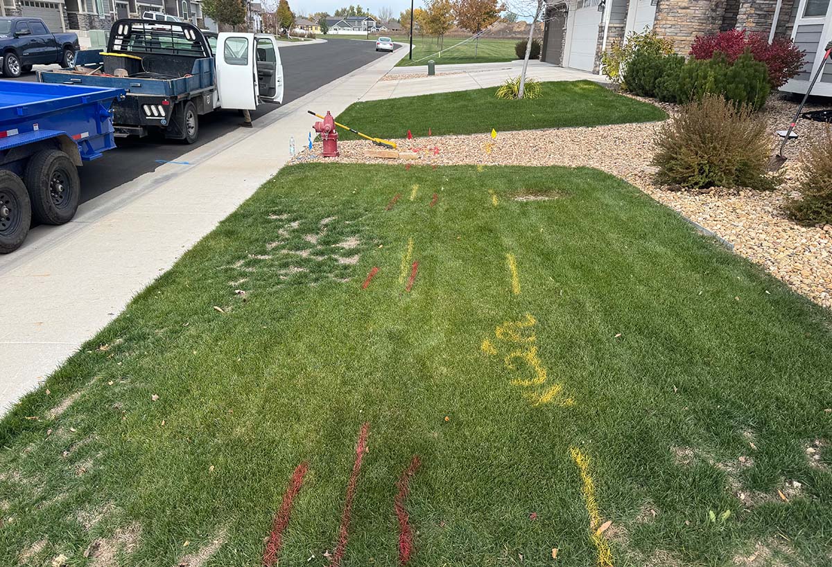 Boxwood Drive Front Yard Before