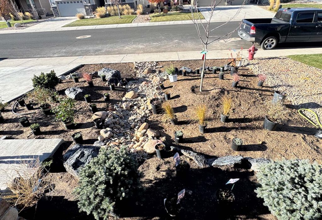 Boxwood Drive Front Yard