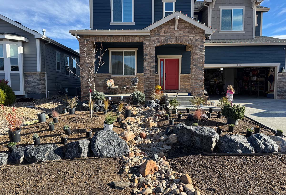 Boxwood Drive Front Yard