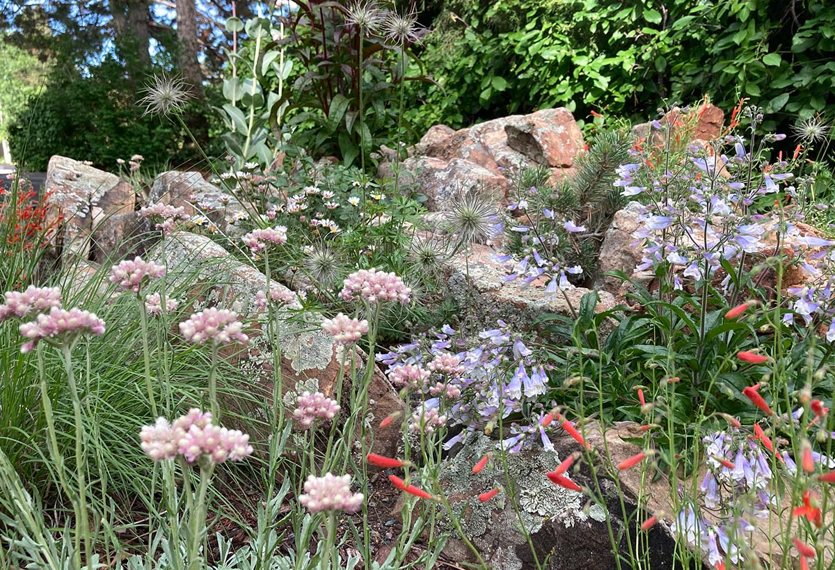 Crevice Gardens Green